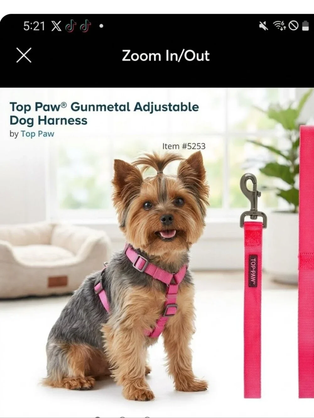Top Paw leash like
